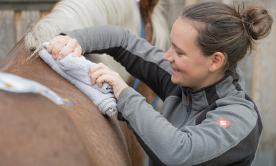 Wellness Behandlungen